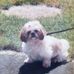 Profile Picture of Jo Ann Swift (@joann.swift.1) on Facebook