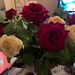Profile Picture of Paula Fearn (@3pinkbluefairys) on Pinterest