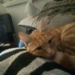 Profile Picture of Kirsten Louise Moore (@kirstenm0015) on Instagram