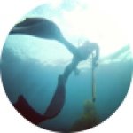 Capt. Jeff Forster - Instagram Profile Picture of Capt. Jeff Forster (@capt.jefforster) on Instagram