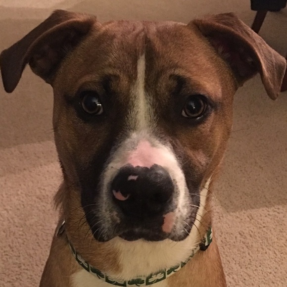 Profile Picture of Abby Wisinski (@abbywisinski) on Poshmark