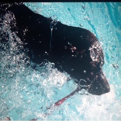 Profile Picture of Lynda Simmons (@LyndaDSimmons) on Twitter