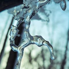 Profile Picture of Joshua Matuska (@joshua.matuska) on Tiktok