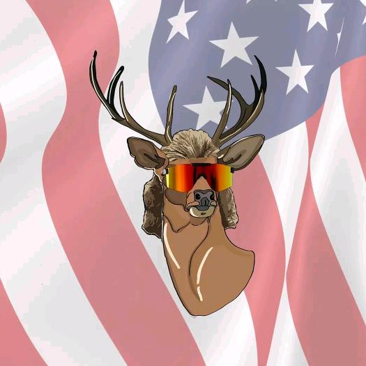 Profile Picture of   C Don Welsch (@cdonwelsch)... (@cdonwelsch) on Tiktok