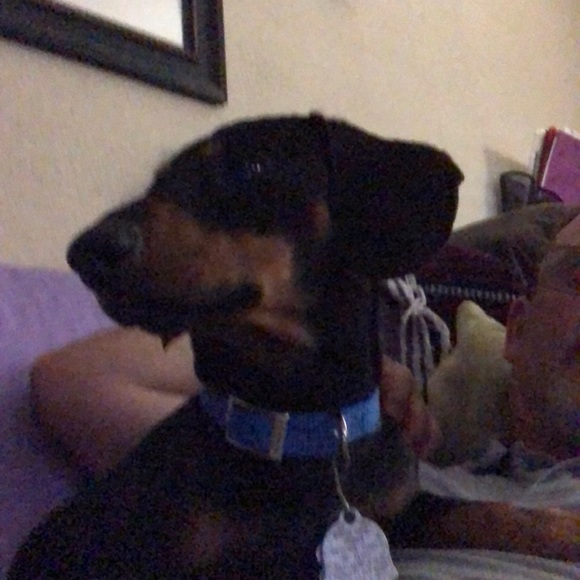 Richard Beyea - Poshmark Profile Picture of Richard Beyea (@rick632) on Poshmark