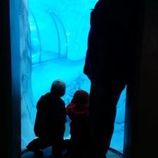 Profile Picture of Paul Egnatuk (@pegnatuk) on Twitter