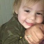 Profile Picture of David Macy (@david_macy_) on Instagram