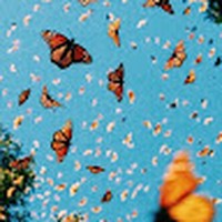 Kendall Grigg - Quora Profile Picture of Kendall Grigg (@kendall-grigg-3) on Quora