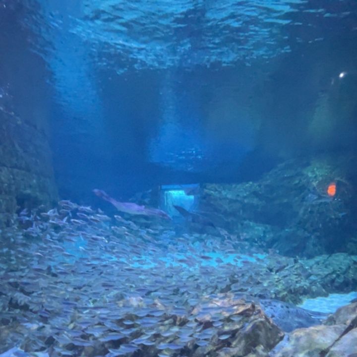 Profile Picture of Jefferson McQueen (@jeffclamps) on Tiktok