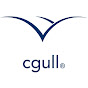Profile Picture of cgull (@@cgulltv) on Tiktok