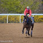 Profile Picture of Amanda Olds (@amanda_olds) on Instagram