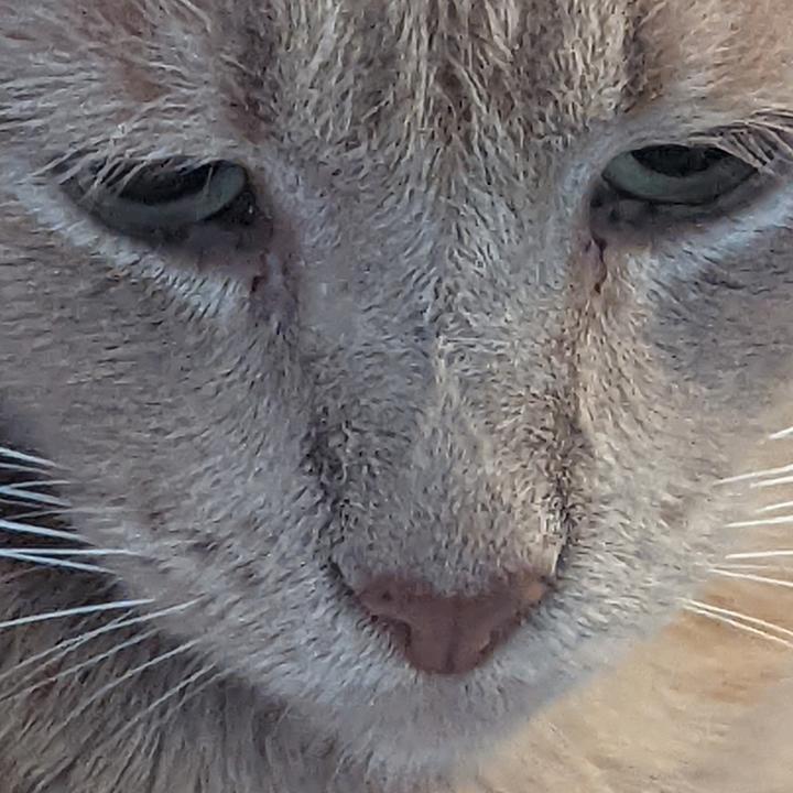 Profile Picture of Pooh Bear 🐻🐻🐻🐻 (@sebastian.brown4) on Tiktok