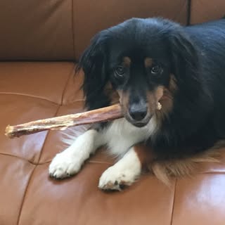 Profile Picture of David Rantala (@david_rantala) on Instagram