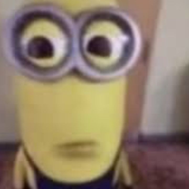 Profile Picture of quinn (@quinn.shaffer) on Tiktok