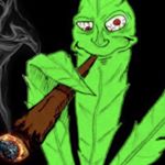 Profile Picture of Ian (@smokin_ripping_dirtbikes) on Instagram