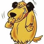 Chris Catchpole - Instagram Profile Picture of Chris Catchpole (@kernal16) on Instagram