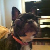 Profile Picture of Chris Priddy (@eldiablogrande) on Youtube