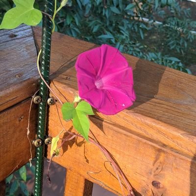 Profile Picture of Amanda Mckevitt (@@mandymcdevitt) on Twitter