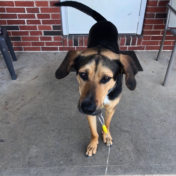 Profile Picture of Jeffrey Levitan (@hoagie2026) on Poshmark