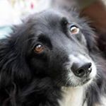 Profile Picture of William Holzapfel (@holdsupwaffle) on Instagram