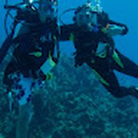 Profile Picture of Thomas Broskey (@thomas-broskey) on Quora