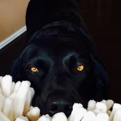 Profile Picture of John Burton (@BertieBigSpuds) on Twitter