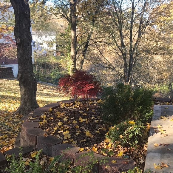 Profile Picture of Blake Messer (@messerblake) on Poshmark