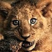 Profile Picture of Genesis Moreno (@genesis-moreno-91) on Quora