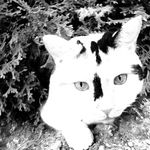 Erin Stuckey - Instagram Profile Picture of Erin Stuckey (@erin.spammm_) on Instagram