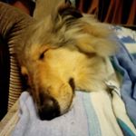 Profile Picture of соня кабанова (@kabanova_sonia) on Instagram