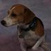 Profile Picture of Piper Douglas (@piper.douglas.39) on Facebook