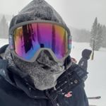 Profile Picture of Josh Perez (@nickjoshp) on Instagram