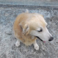 Profile Picture of Sheng Hwa Jason Lau (@sheng-hwa-jason-lau) on Quora