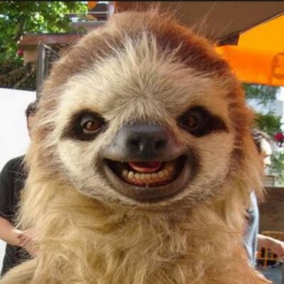 Profile Picture of Daniel Egan (@SilkyEgan) on Twitter