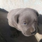 Profile Picture of hailey sanchez (@haileysanchez13) on Instagram