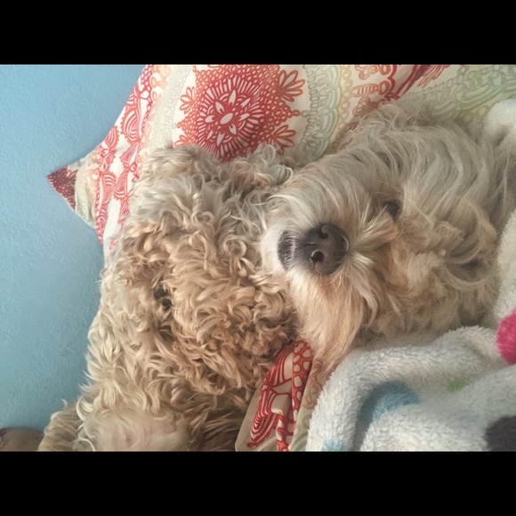 Sarah Frerer - Poshmark Profile Picture of Sarah Frerer (@sarahfrerer) on Poshmark