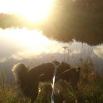 Profile Picture of Yvette Wong (@yvettehlwong) on Instagram