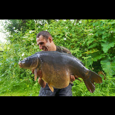 Profile Picture of Darrell Stone (@darrellstone4) on Twitter