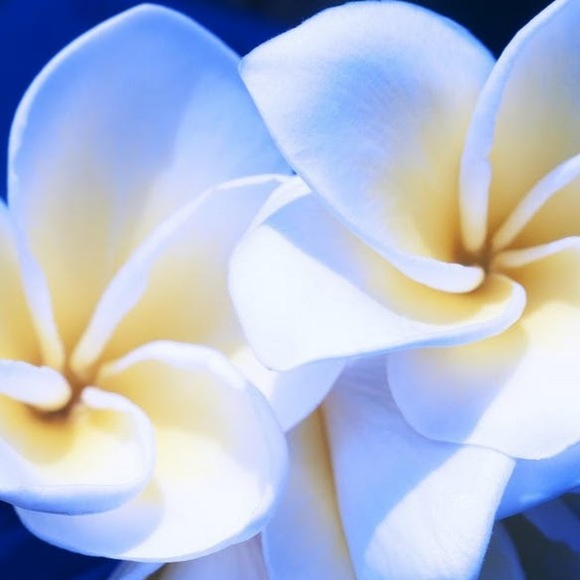 Profile Picture of Addison Ahlstrom (@amahlstrom0) on Poshmark