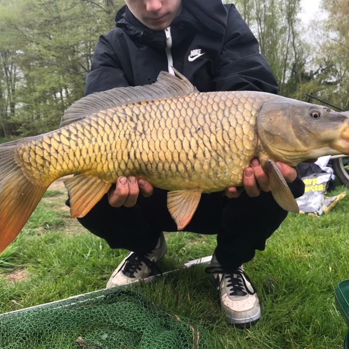 Ein echter BVB Fan - Tiktok Profile Picture of Ein echter BVB Fan (@stevengeiling04) on Tiktok