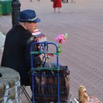 paul norris - Instagram Profile Picture of paul norris (@norris1107pn) on Instagram