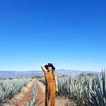 Profile Picture of Patsy Ystap Santiago (@ystapsantiago) on Instagram