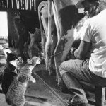 Profile Picture of JasonandCj Winningham (@cjandjason) on Instagram