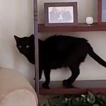 Profile Picture of Ruby Boyle (@rubixcubeboyle) on Instagram