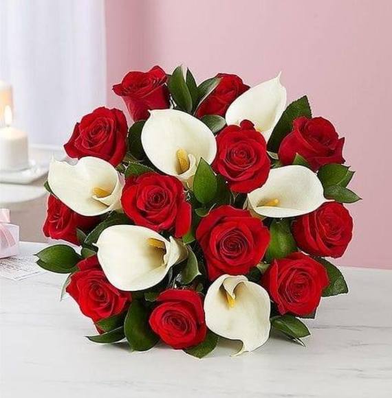 Profile Picture of Raquel Lugo (@raquelsegura) on Poshmark