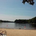 Profile Picture of Tim Pettibone (@pettibonetim) on Instagram