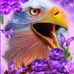 Profile Picture of Steven Tsai (@steven.tsai.142) on Facebook