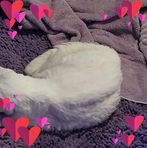 Profile Picture of David Wilhelm (@david.wilhelm.3152) on Facebook