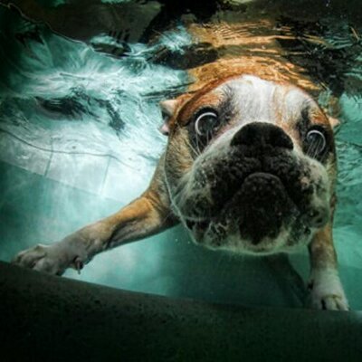 Profile Picture of David Wagstaff (@davidwwone) on Twitter