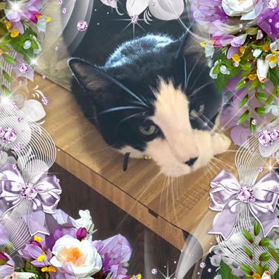 Profile Picture of John Bomer (@JohnBomer8) on Twitter